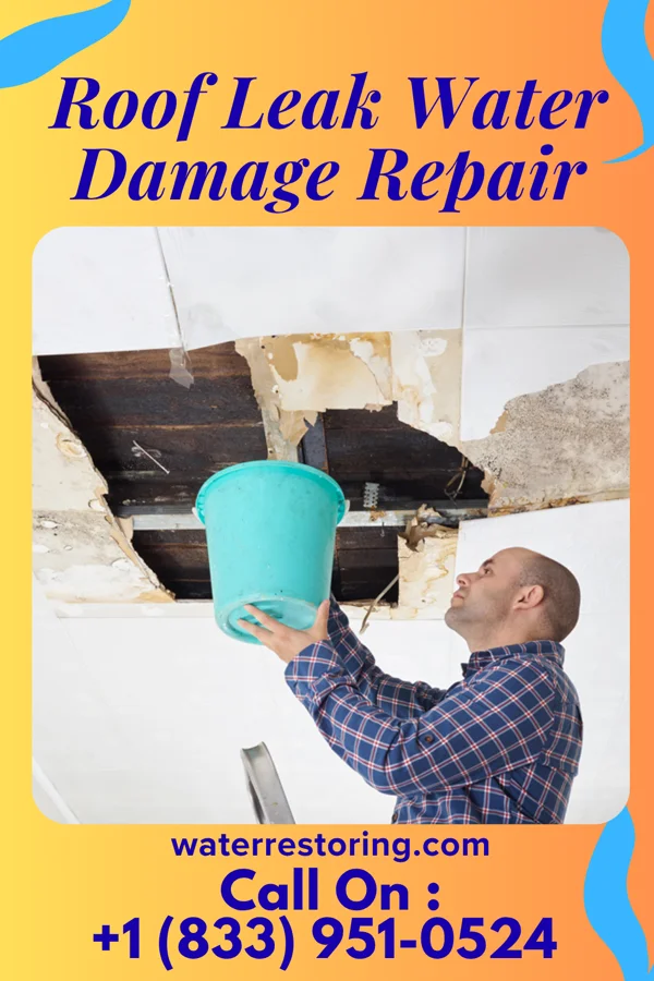 Roof Leak Water Damage Repair in Frisco, CO